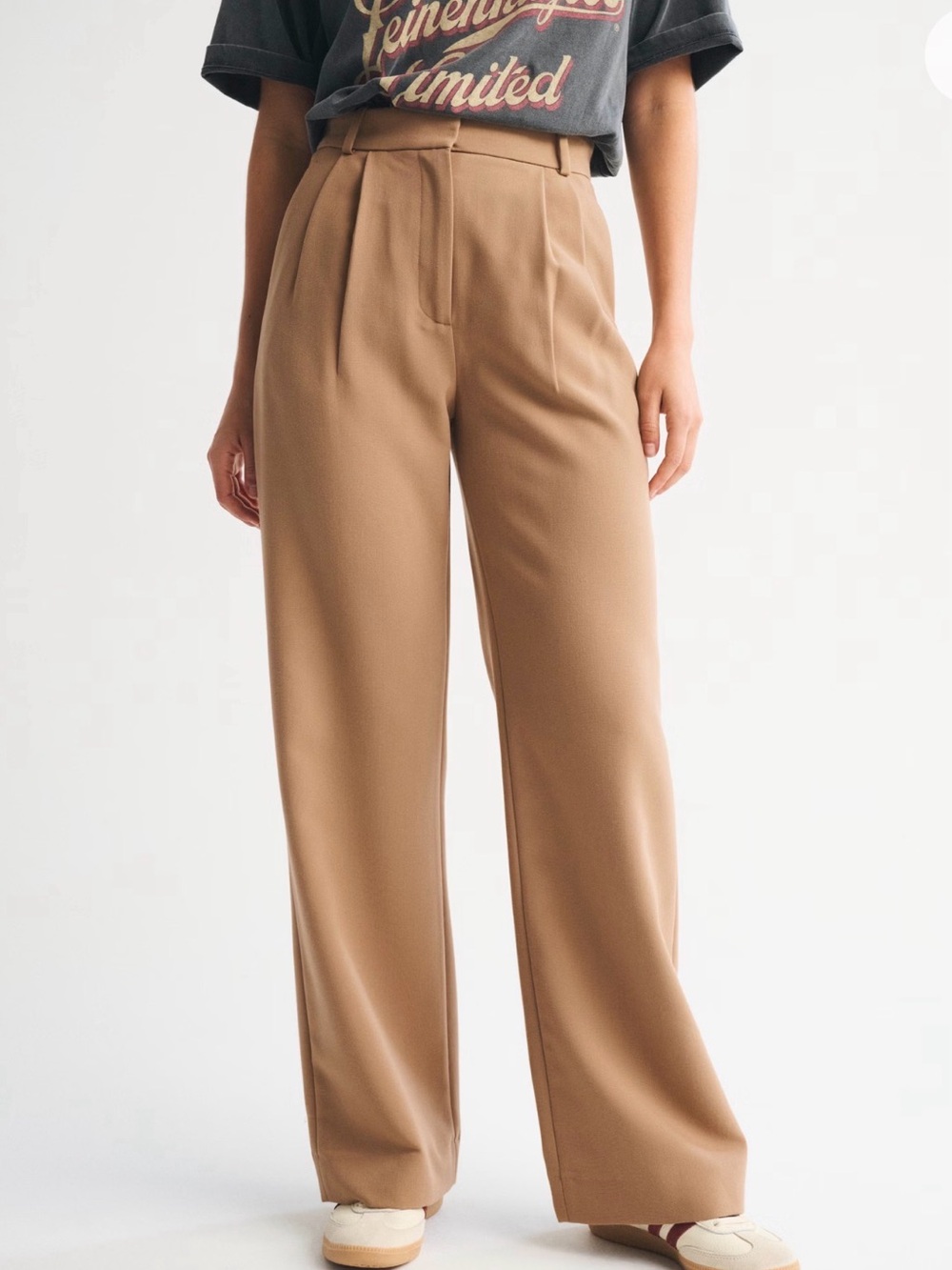 Abercrombie & Fitch Sloane Tailored Wide Leg Pants Trouser Tan Size 32 Short